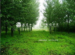 王院長(zhǎng)帶隊(duì)赴河北平山縣生態(tài)莊園，開(kāi)啟鄉(xiāng)村旅游規(guī)劃新篇章